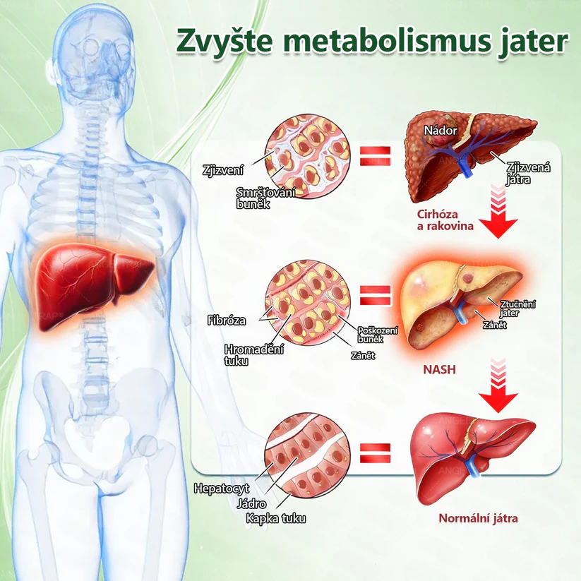 👍🇨🇿Oficiální prodejna | 🧑‍⚕️ANGELTRAP® 𝐌𝐨𝐫𝐢𝐧𝐠𝐚 × 𝐁𝐞𝐫𝐛𝐞𝐫𝐲𝐧𝐚 × 𝐀𝐌𝐏𝐊 𝟏𝟎 v 1 – Zeštíhlující nano mikrojihlový náplast 🇨🇿 Jen 1× denně ✅ Viditelné změny za 7 dní – na obezitu, kardiovaskulární zdraví, diabetes a kloubní problémy