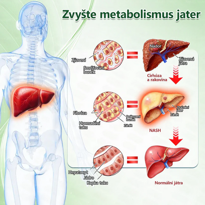 👍🇨🇿Oficiální prodejna | 🧑‍⚕️ANGELTRAP® 𝐌𝐨𝐫𝐢𝐧𝐠𝐚 × 𝐁𝐞𝐫𝐛𝐞𝐫𝐲𝐧𝐚 × 𝐀𝐌𝐏𝐊 𝟏𝟎 v 1 – Zeštíhlující nano mikrojihlový náplast 🇨🇿 Jen 1× denně ✅ Viditelné změny za 7 dní – na obezitu, kardiovaskulární zdraví, diabetes a kloubní problémy